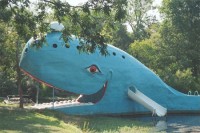 Starling Travel » Catoosa, OK: Blue Whale